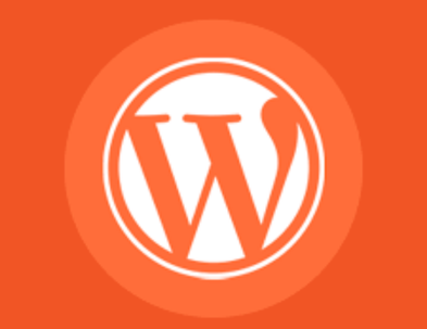 website development