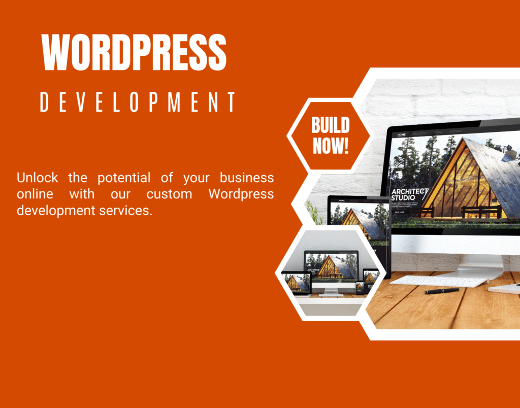 wordpress development